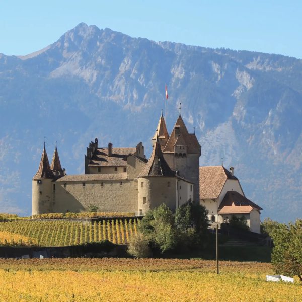 Château d’Aigle